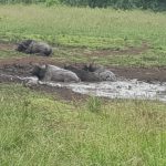 08AFB459-CD1A-4D0C-8F9C-0B077FD1A7C2