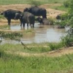 203070D5-ECB2-4D9A-8793-E15269B73314