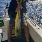 52f5e168-5f2b-47f7-8d38-efa148253973