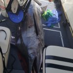 54ac604a-b8f0-44d7-9bd7-76ffd140e744