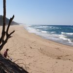 5E1CABA6-22D9-4700-A79C-EE936E5FD613