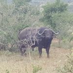 8EB3C0C9-FF4C-4A04-993F-BCBED230C14E