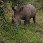 95AA370A-CB68-42A4-927B-90167B3E9732