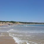 9FDD9609-7C53-4440-8659-C7F3A6D7B78A