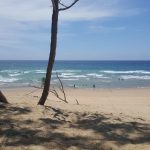 A5F1C74F-0BC7-47F8-844F-7D507A19813F