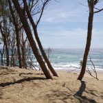 BF2FBDBA-FF8C-413D-B043-8D69DD393273