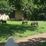 C1C86EE3-F147-4830-A027-4DB489A67EC0