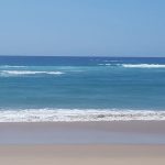 D78981DD-0E6F-4FF1-83AC-ACF338E9E1DF