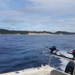 c6b6df7b-2f1c-4088-9039-eb78b48122e8