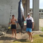 c91522ef-4c05-4fc8-a43d-a8d1d937865f