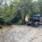 E7B95ECF-CEE1-4C54-82F9-A734F310D39D