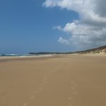 1273217C-7DCB-4038-AC1E-E25D3DA4BE05