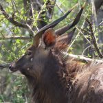 2D7EA65D-AD3A-4B49-9B67-707526D792F0