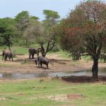 3F503A28-A417-4259-A223-53A0C9F4D9CE