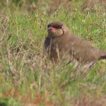 41853195-E57B-467D-B0FB-E9EC441177AC