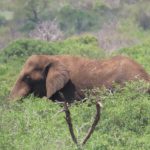 B2407881-0A20-4871-ACCD-695ECEC67314