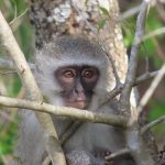 D36AEB75-481D-486A-A987-E58F2D2D7B1F